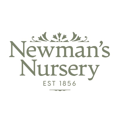 Newman's Nursery